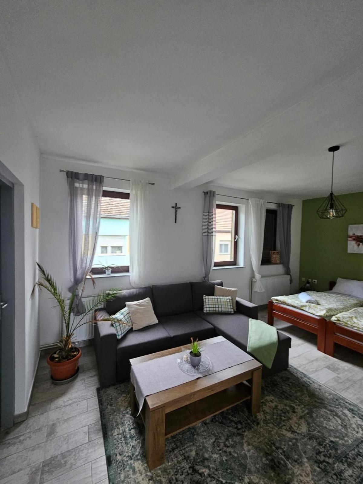 Studio Apartman Dora Ilok Exterior foto